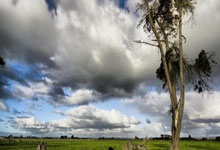 南宫娱乐-狼队名将转会传闻不断，未来去向令人期待