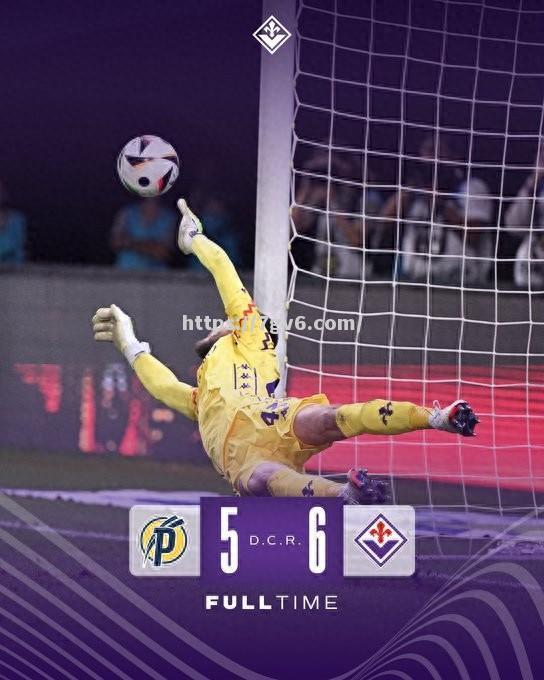 南宫娱乐-匈牙利队表现出色，成功晋级半决赛